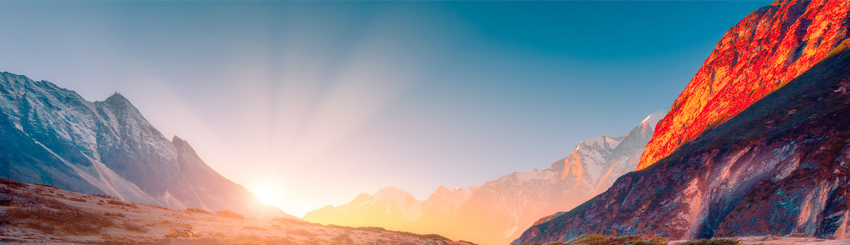 关于中华精英联盟